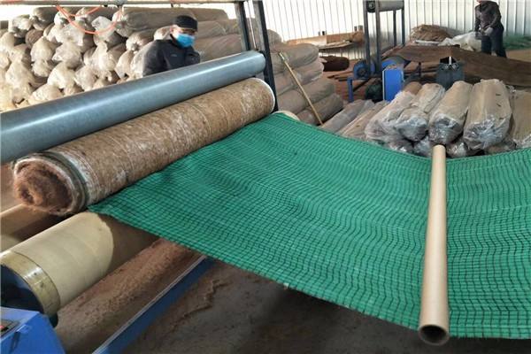 影響環保生態毯力學性能的主要因素是？